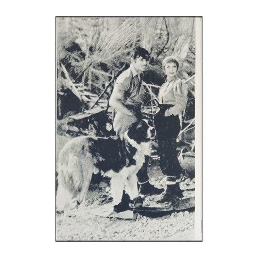 Jack London: Skriet Från Vildmarken