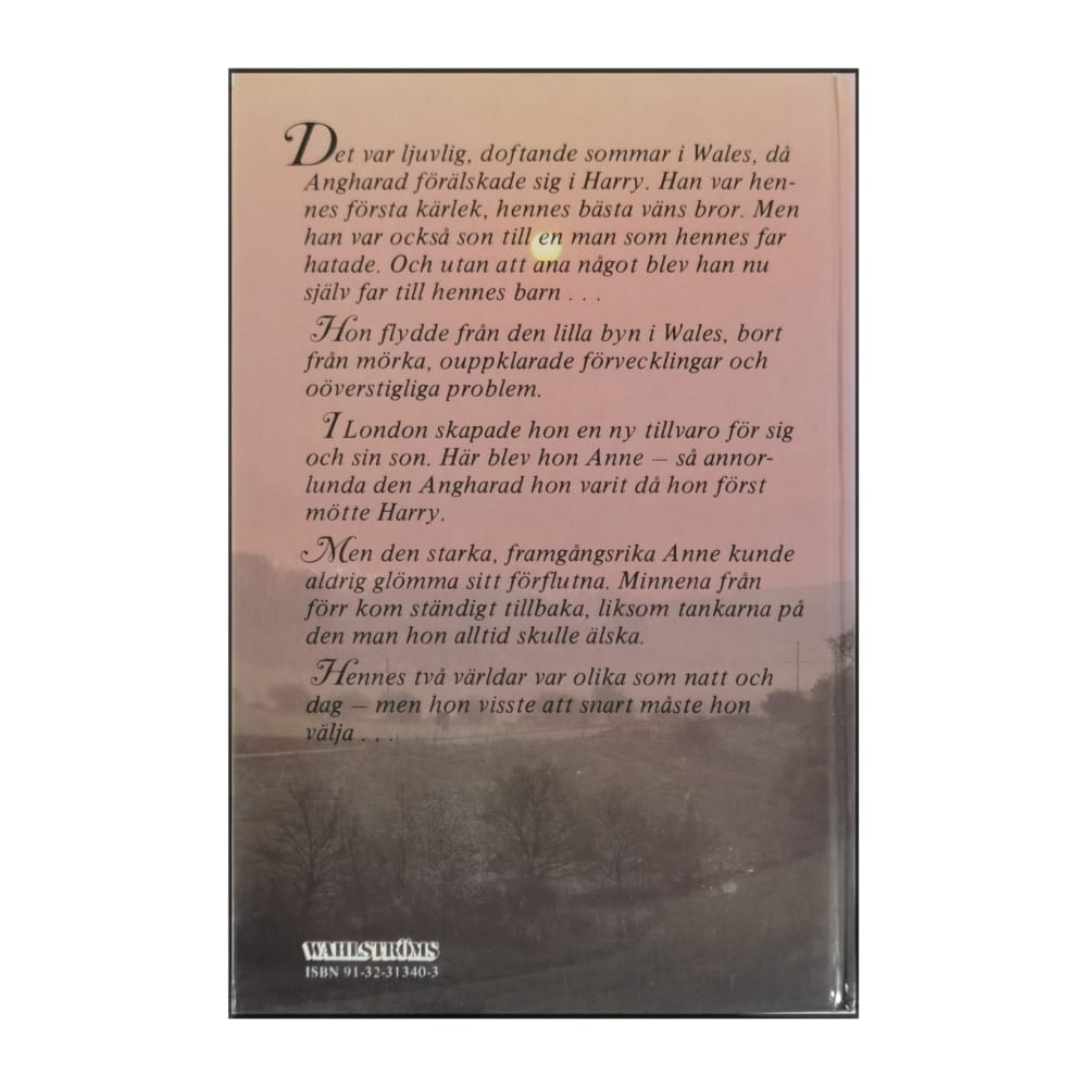 Rosie Thomas: I Soluppgången