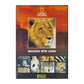 National Geographic: Walking With Lions
