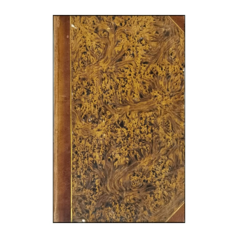 Etienne Arago: Minnen Af En Blind 2