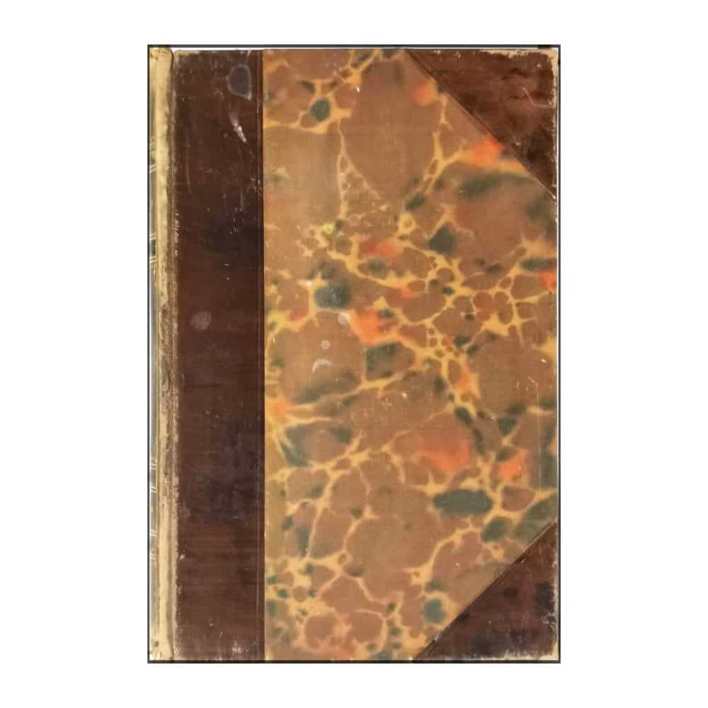 Leo Tolstoy: Anna Karenin 2