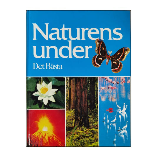 Det Bästa Naturens Under