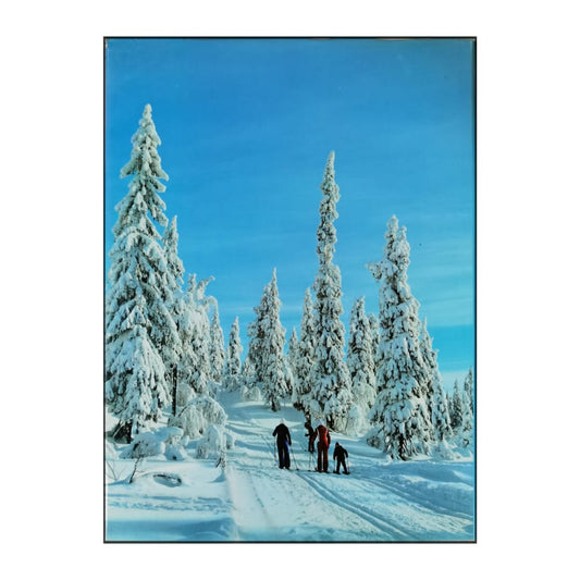 N. Göran Algård: Dlalarna Sveriges Hjarta