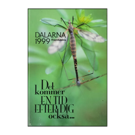 Dalarna 1999 Framtidstro Det Kommer En Tid Efter Dig Också