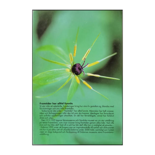 Dalarna 1999 Framtidstro Det Kommer En Tid Efter Dig Också