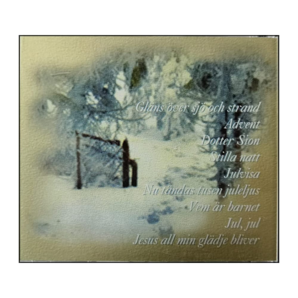 Sionkören & Pk Gospel & Richard Niklasson: Det Strålar En Stjärna