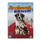 Beethoven'S Big Break