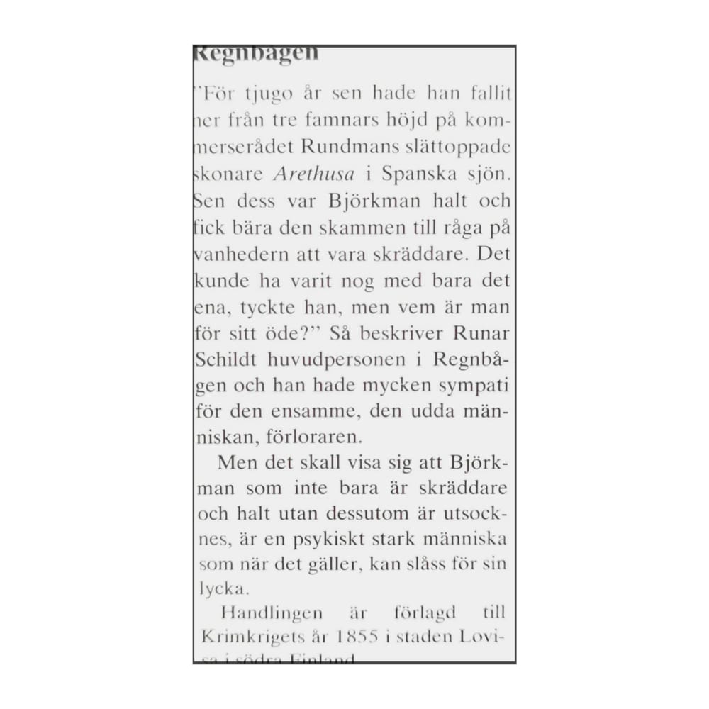 Runar Schildt: Regnbågen