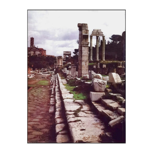 Luisa Franchi Dell'Orto: Ancient Rome