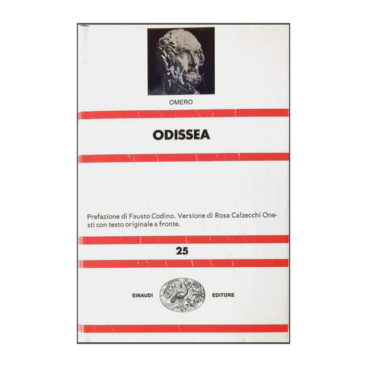 Omero: Odissea
