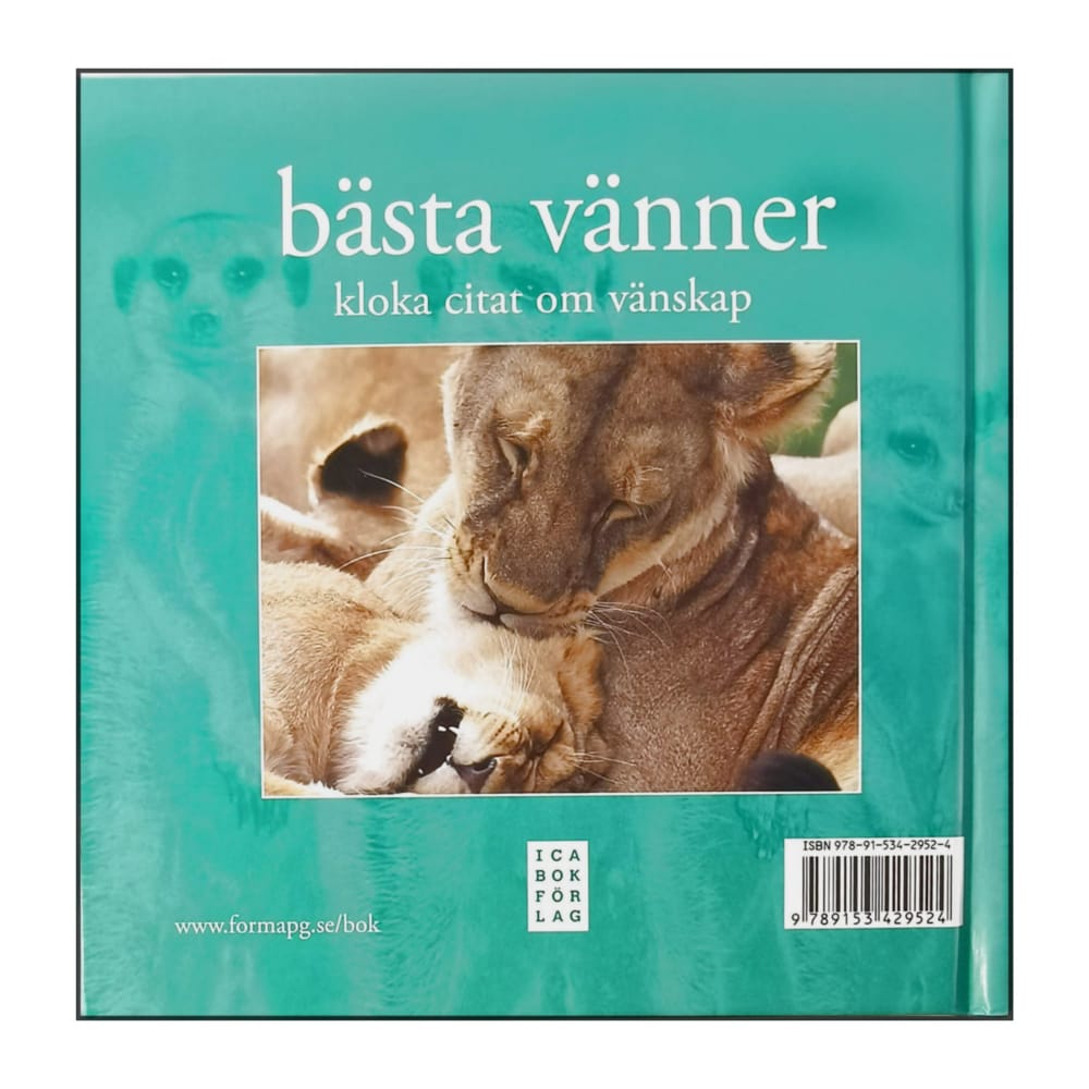 Bästa Vänner