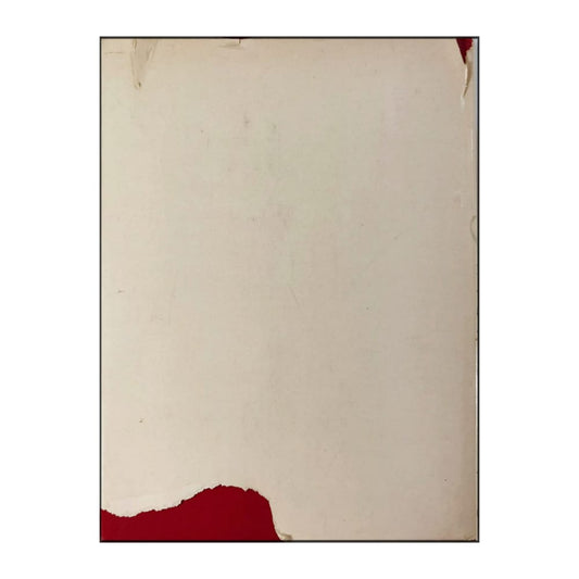 Edmondo De Amicis: Cuore