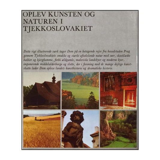 Karel Neubert: Tjekkoslovakiet