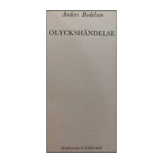 Anders Bodelsen: Olyckshändelse