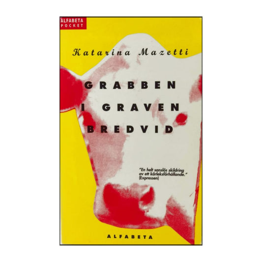 Katarina Mazetti: Grabben I Graven Bredvid