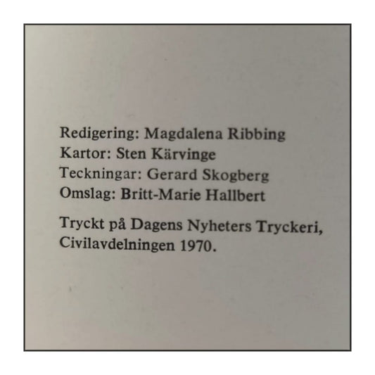 Omvägen