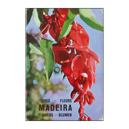 António Da Costa & Luis De O. Franquinho: Madeira