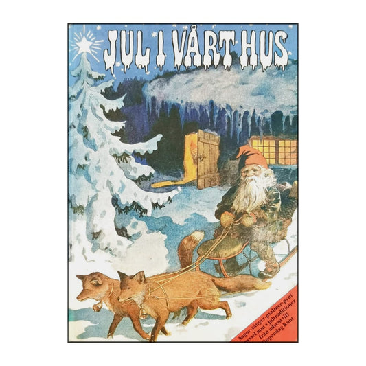 Margareta Schildt: Jul I Vårt Hus