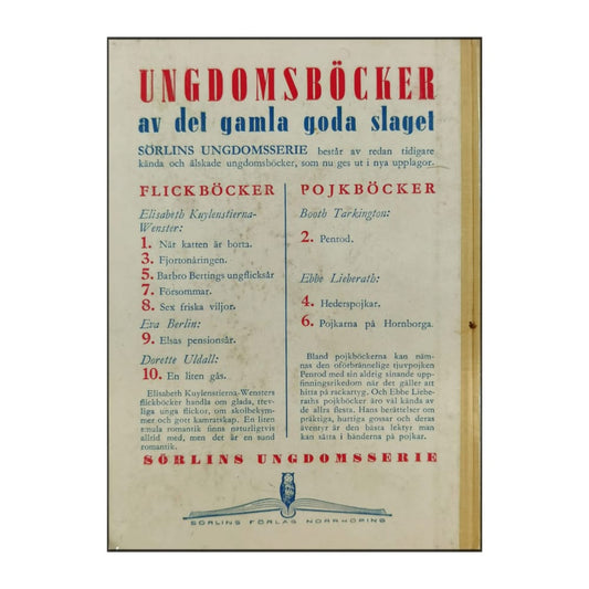 Elisabeth Kuylenstierna-Wenster: Fjortonåringen