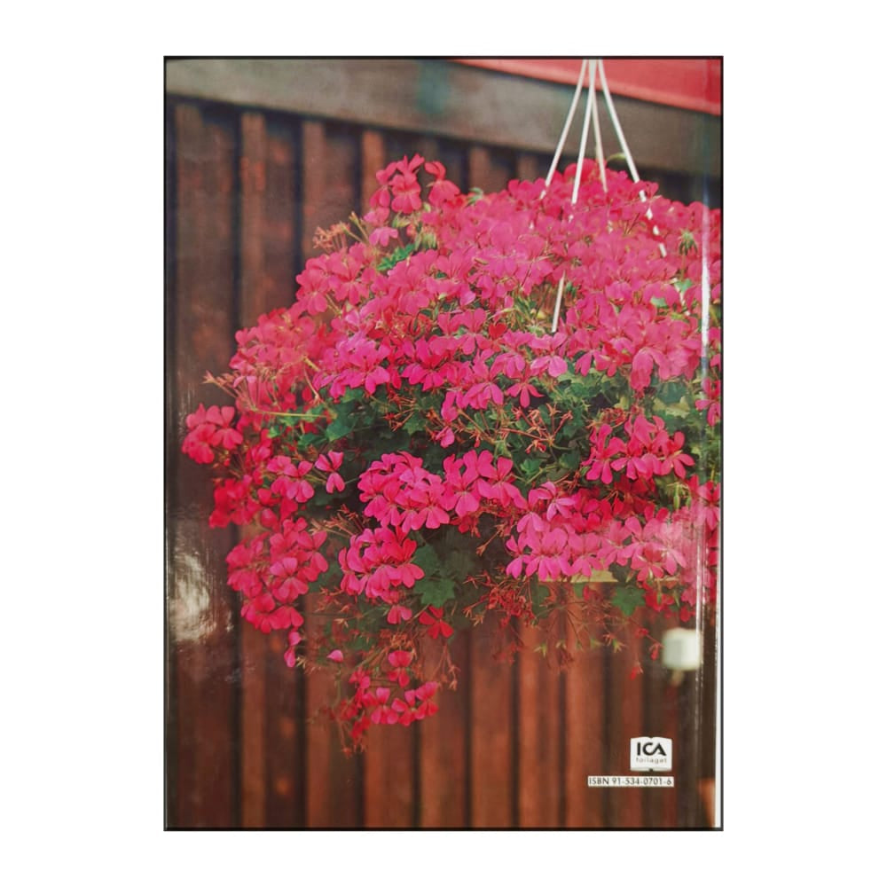 Allt Om Krukväxter 12 Sommarblommor