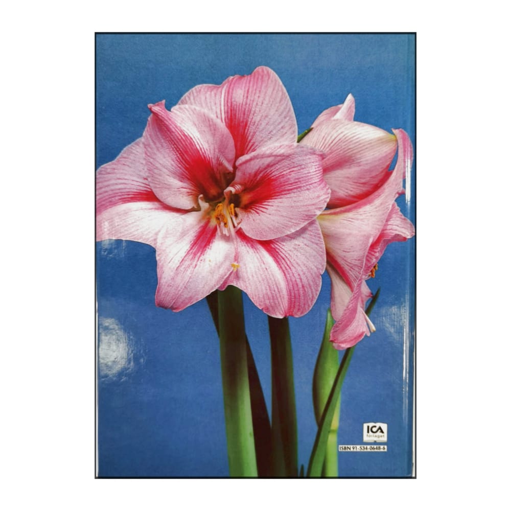 Allt Om Krukväxter 10 Lökar Och Fröer