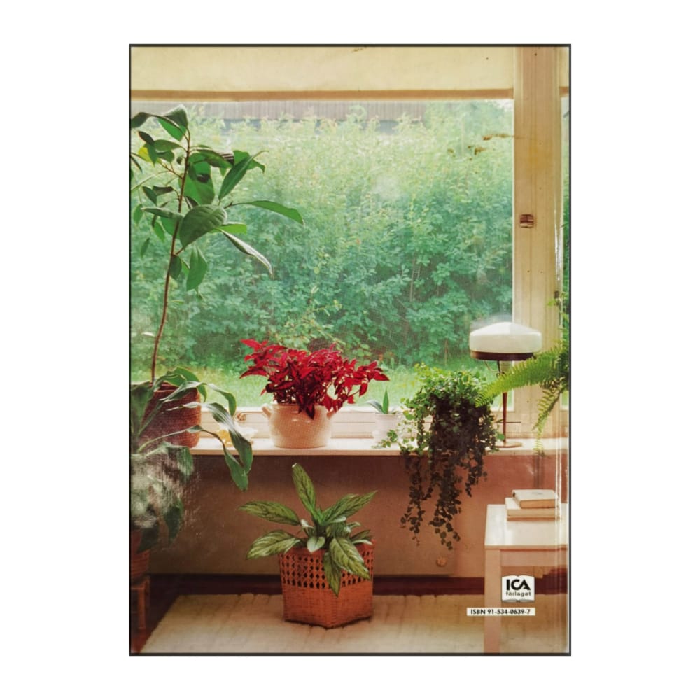 Allt Om Krukväxter 2 Skötsel Och Råd