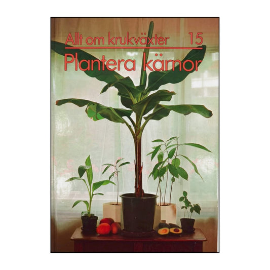 Allt Om Krukväxter 15 Plantera Kärnor