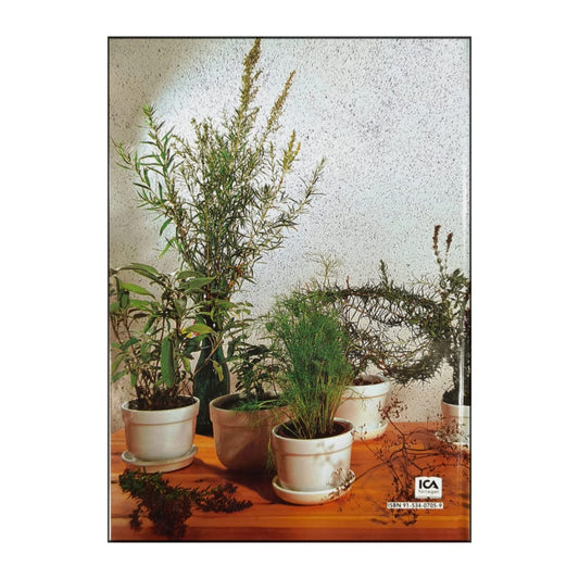 Allt Om Krukväxter 16 Kryddor I Kruka