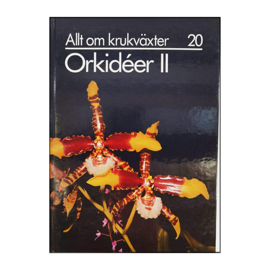 Allt Om Krukväxter 20 Orkidéer 2