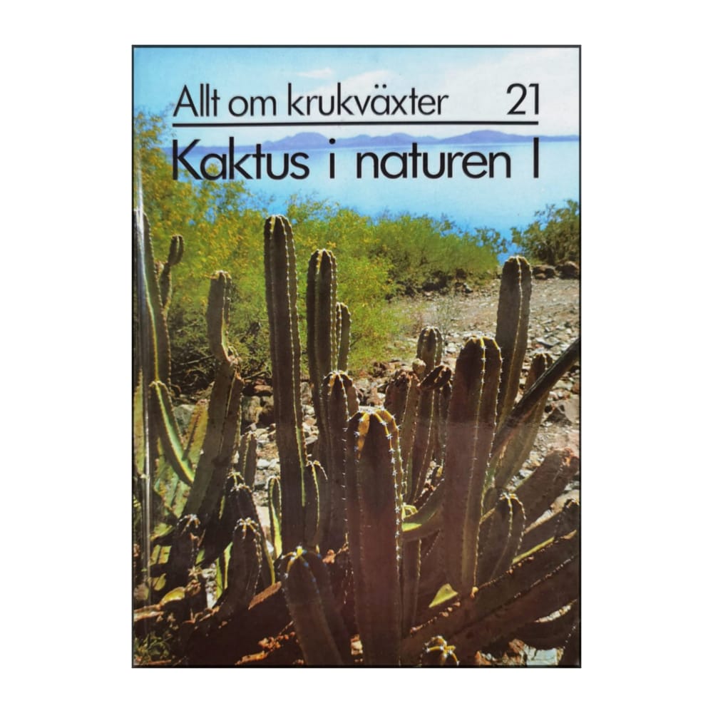 Allt Om Krukväxter 21 Kaktus I Naturen 1