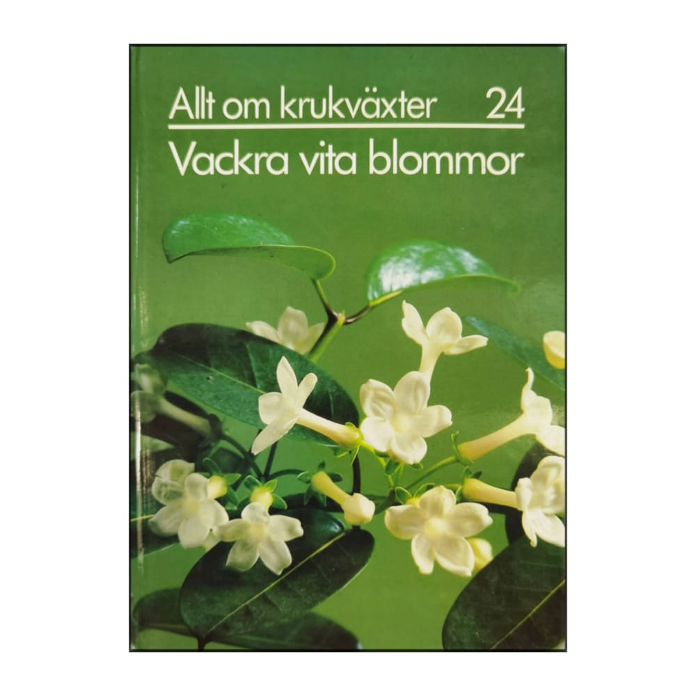 Allt Om Krukväxter 24 Vackra Vita Blommor