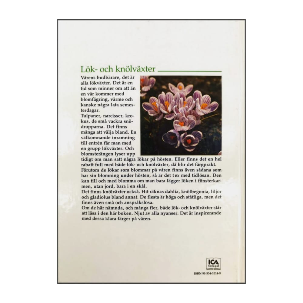 Trädgården Lök Och Knölväxter