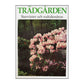 Trädgården Barrväxter Och Rododendron