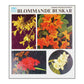 Gunnel Nyblom-Holmberg: Blommande Buskar