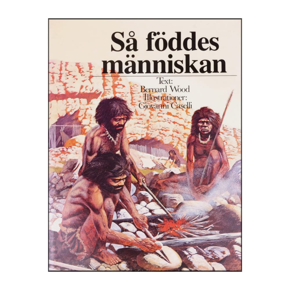 Bernard Wood & Giovanni Gaselli: Så Föddes Människan