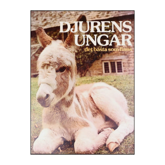 Det Bästa Som Finns: Djurensungar