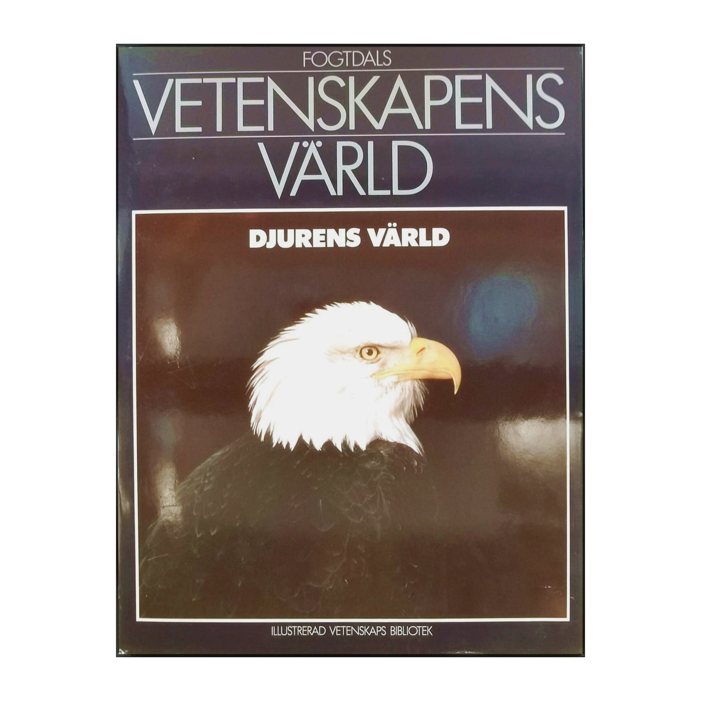Vetenskapens Värld 11 Djurens Värld