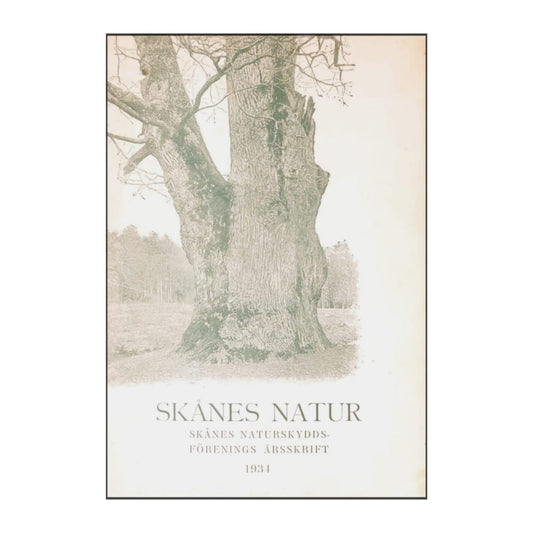 Skånes Natur 1934