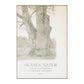 Skånes Natur 1934