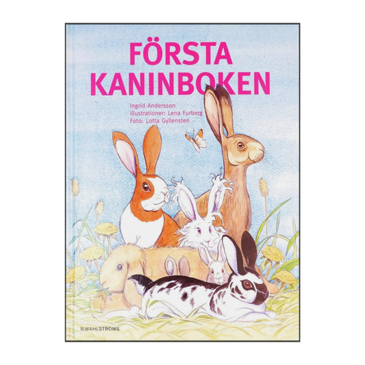 Ingrid Andersson: Första Kaninboken