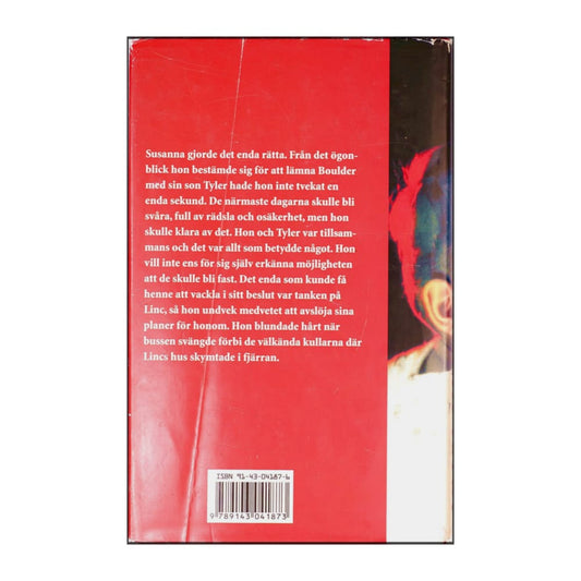 Diane Chamberlain: Susannas Flykt