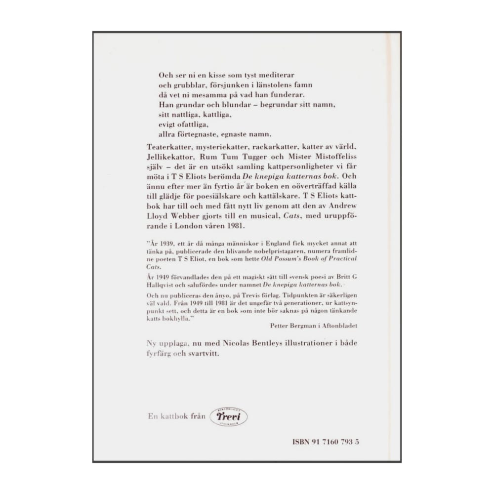 T. S. Eliot: De Knepiga Katternas Bok