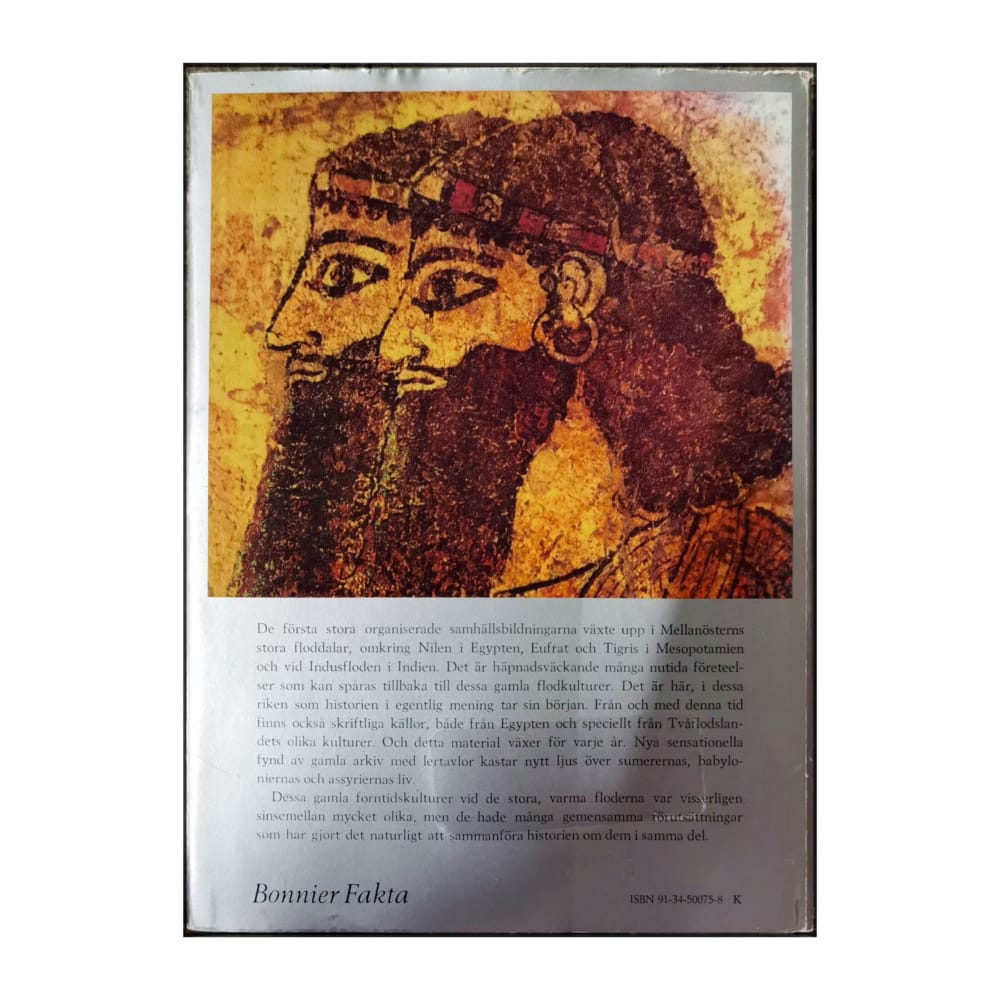 Bonniers Världshistoria 2: Flodrikena