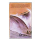 Alistair Maclean: Bäva Californien