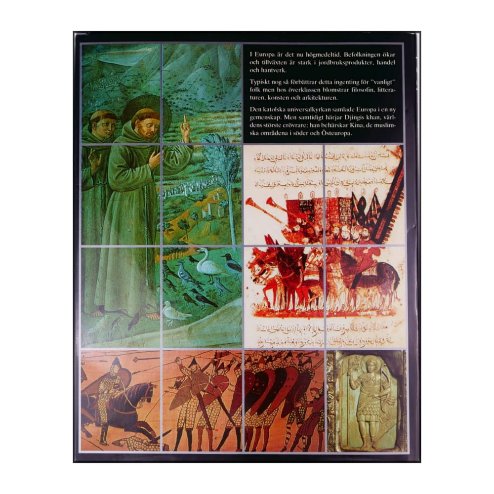 Bra Böckers Världshistoria 5