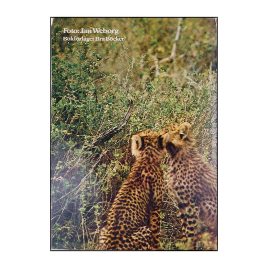 Rolf Edberg: Skuggor Över Savannen