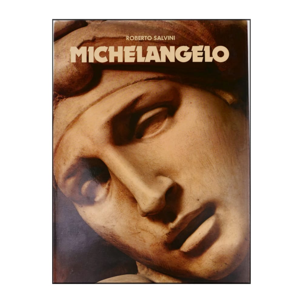 Roberto Salvini: Michelangelo