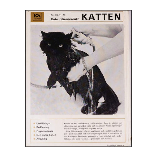 Kate Stierncreutz: Katten