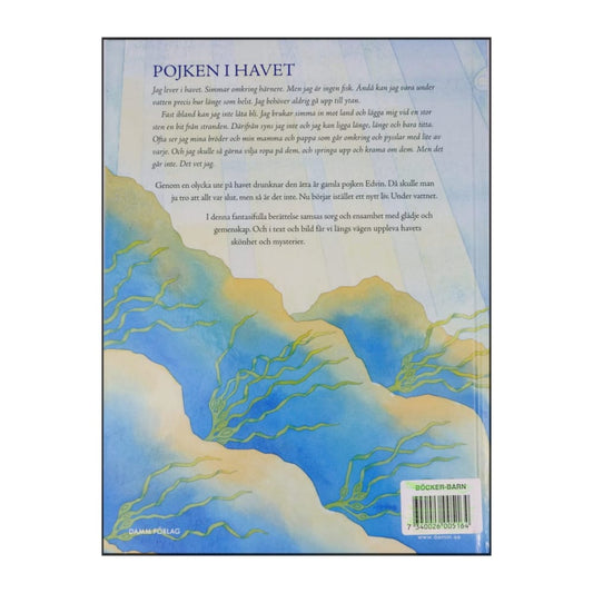 Erik Magntorn: Pojken I Havet