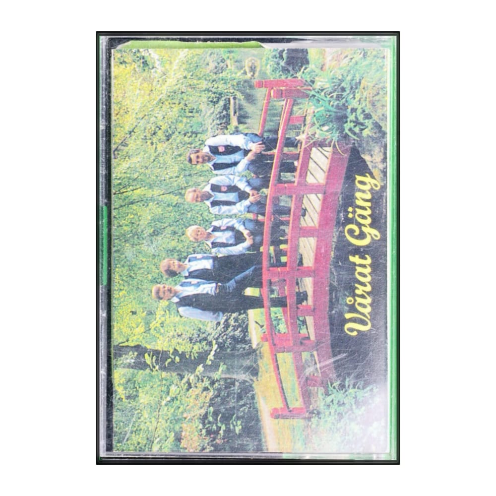 Vårat Gäng: Vårat Gäng 2